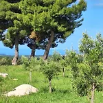 Casa Dell\' Armonia