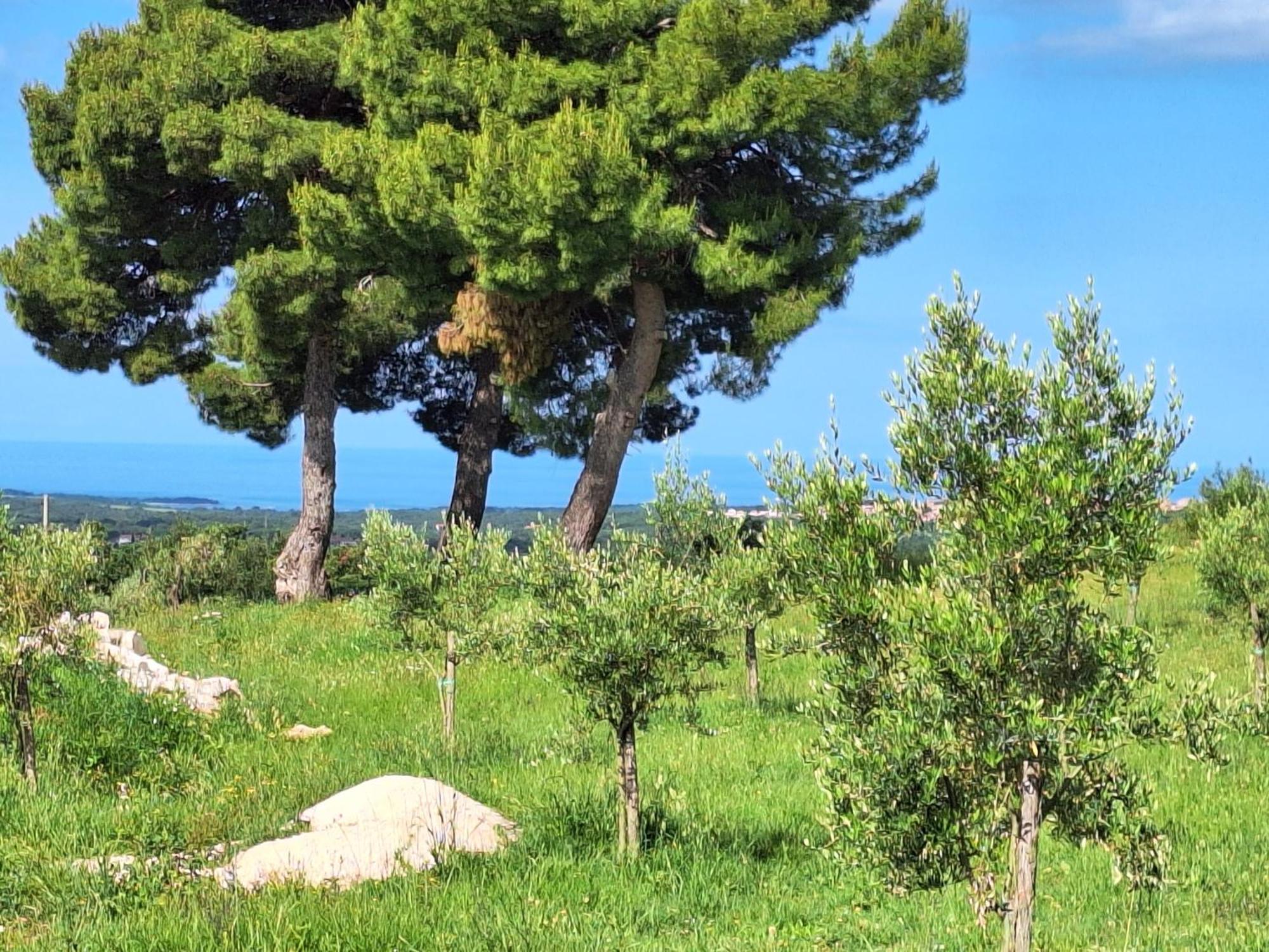 Holiday home Casa Dell' Armonia Porec